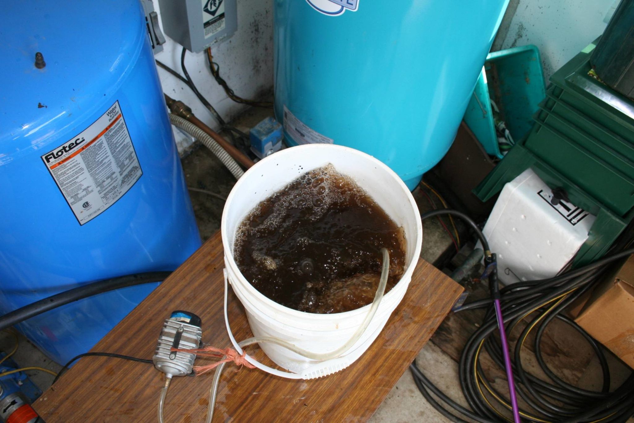 Foamy compost tea : r/NoTillGrowery