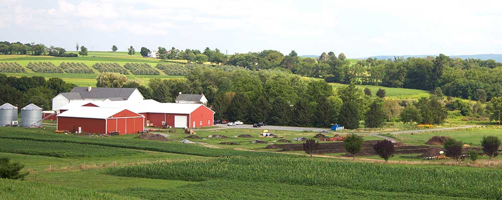 Rodale Institute Farm