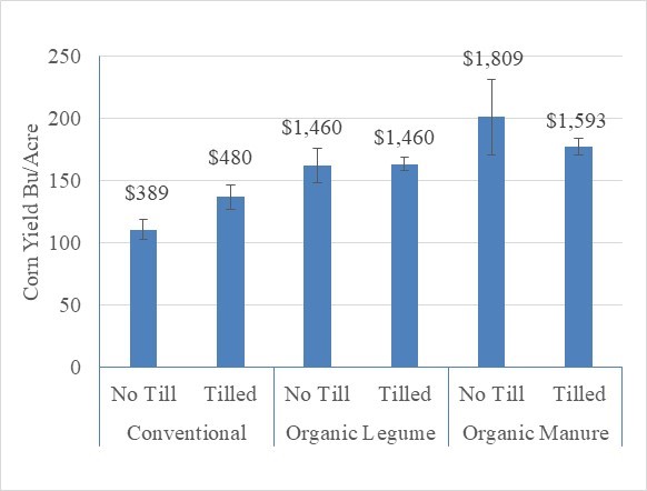 corn no-till graphic