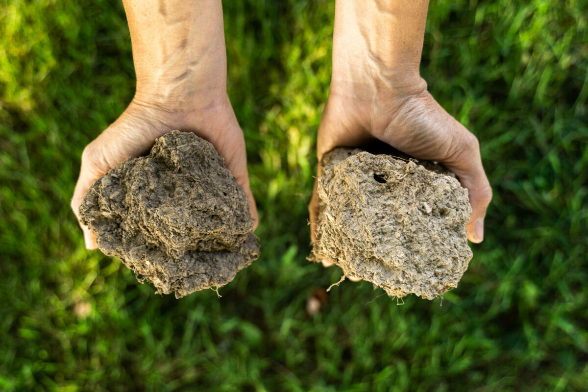 Rodale Institute, Agriculture Supported Communities photo 19