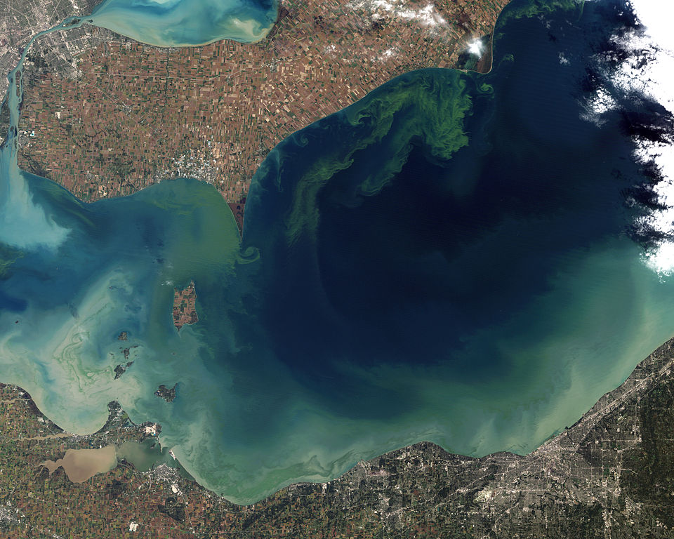 Le alghe tossiche fioriscono nel lago Erie