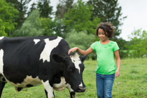 niña con una vaca