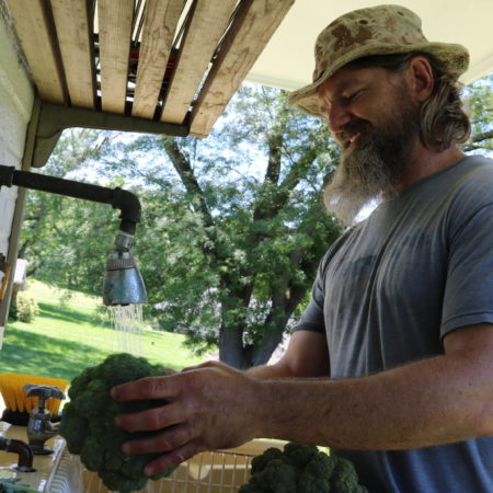 organic farmer washes broccoli
