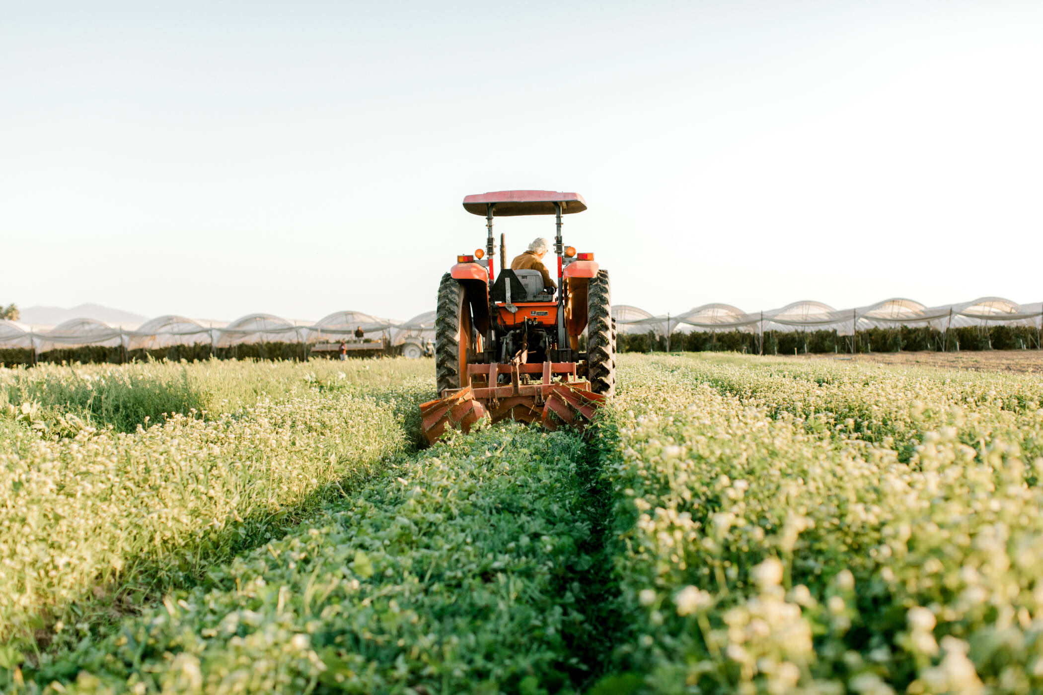 Rotational Tillage