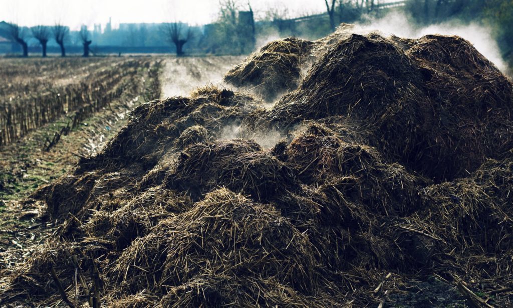 steaming compost pile