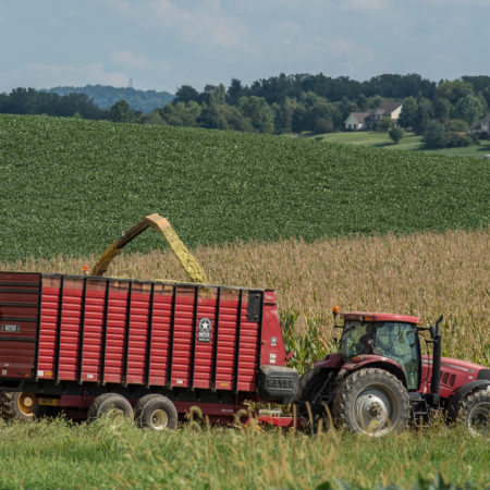 corn silage is harvested in pennsylvania