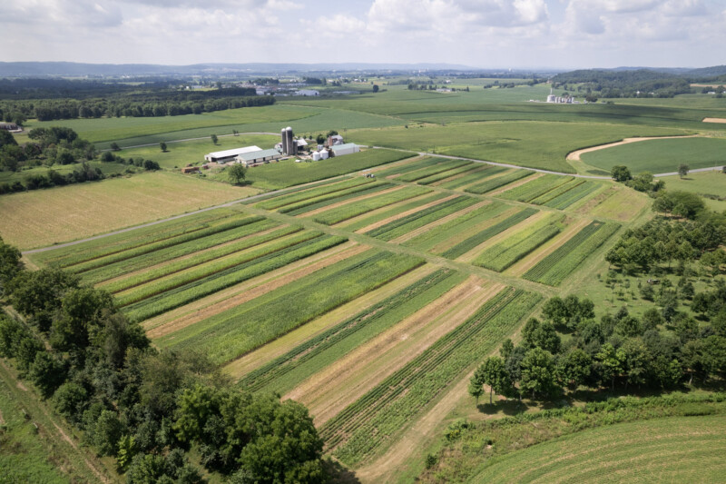 Rodale Institute, Agriculture Supported Communities photo 6