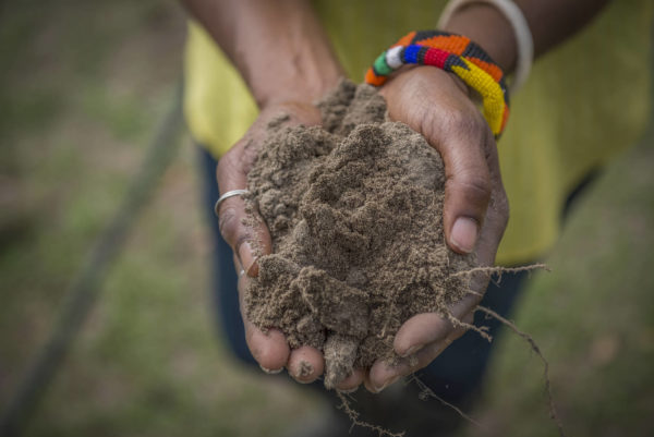 puñado de tierra