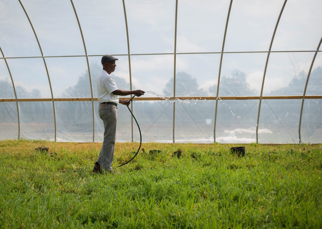 Watering plants in the high tunnel at Lola's Organic Farm in Glenwood, Georgia