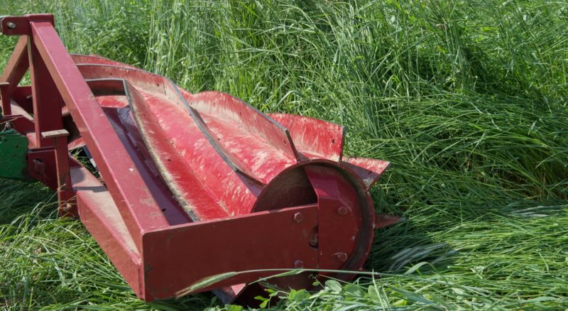 Sertisseuse à rouleaux roulant sur une culture de couverture