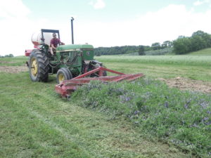 Farmer using the roller crimper