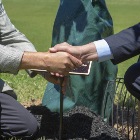 shaking hands