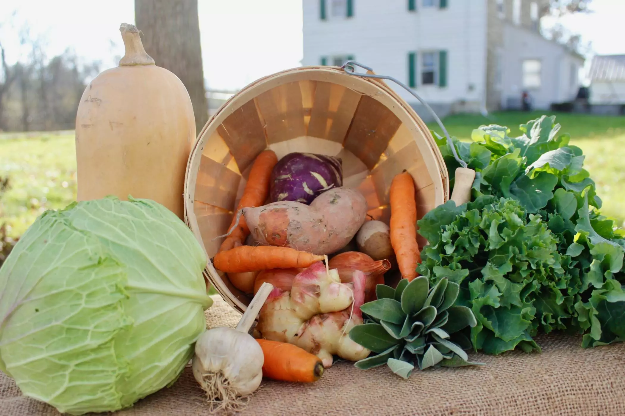 farm to table thanksgiving