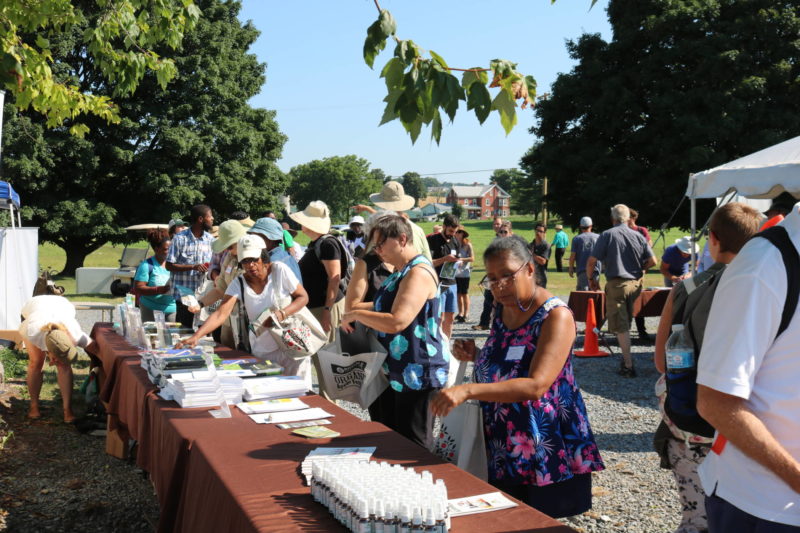 field day information tables