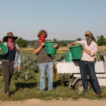 Farmers on Rodale Institute Organic Farms