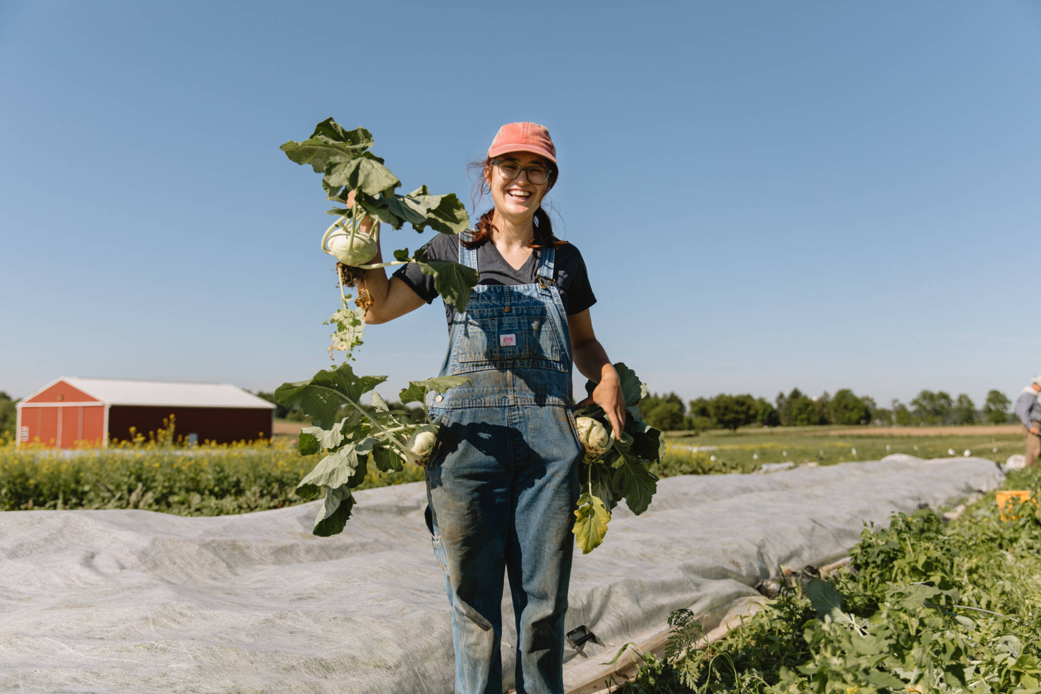 Marketing pour les agriculteurs biologiques