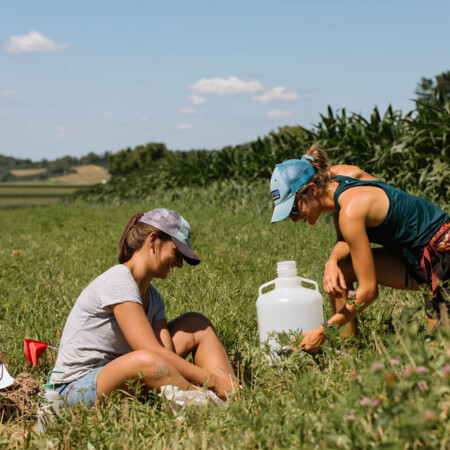 Best Practices for Growing Organic Apples in the Northeast - Rodale  Institute