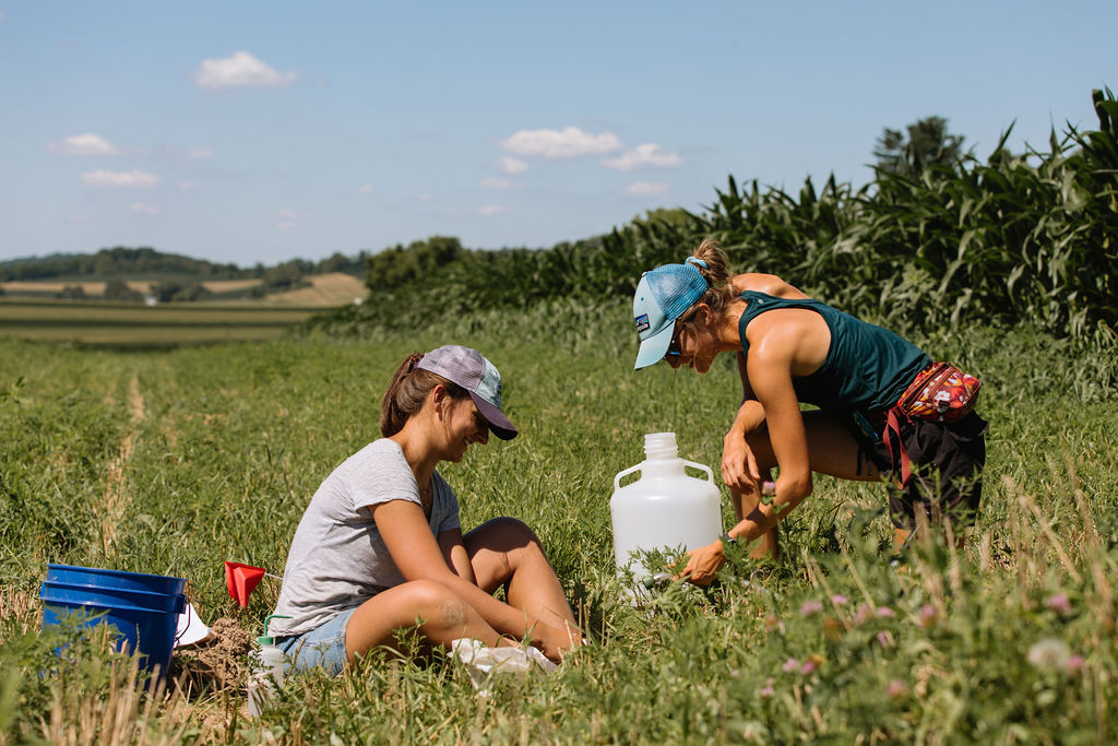 Soil Health's Water Quality Impact: Rodale Institute Insights