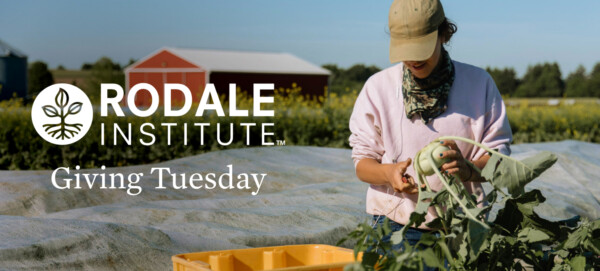 Giving Tuesday Header