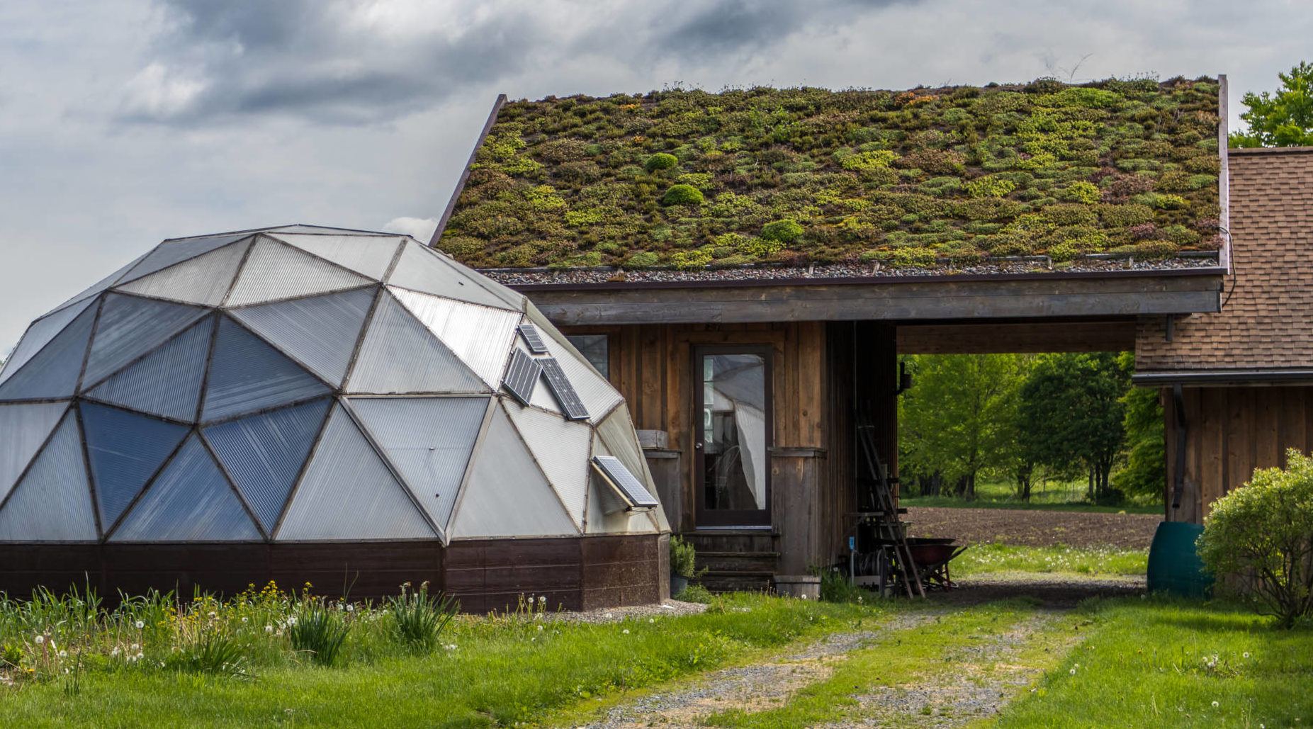 rodale green roof