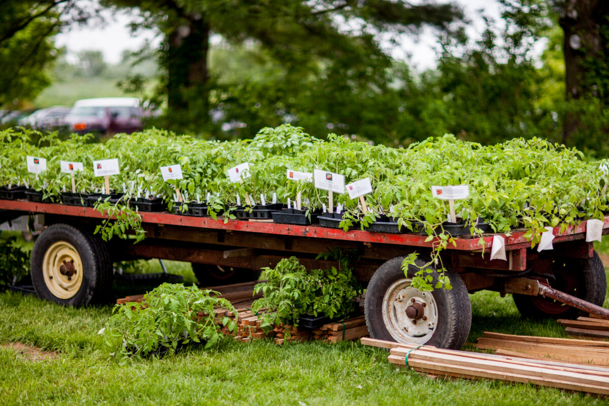 Spring Organic Market and Plant Sale Rodale Institute