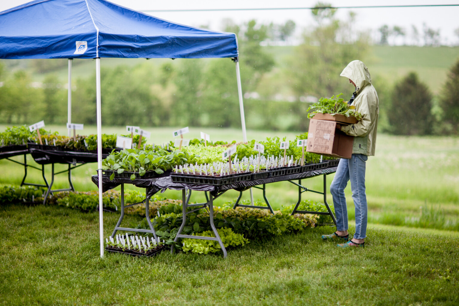 Spring Organic Market and Plant Sale Rodale Institute