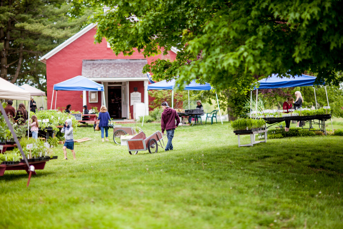 Spring Organic Market and Plant Sale Rodale Institute