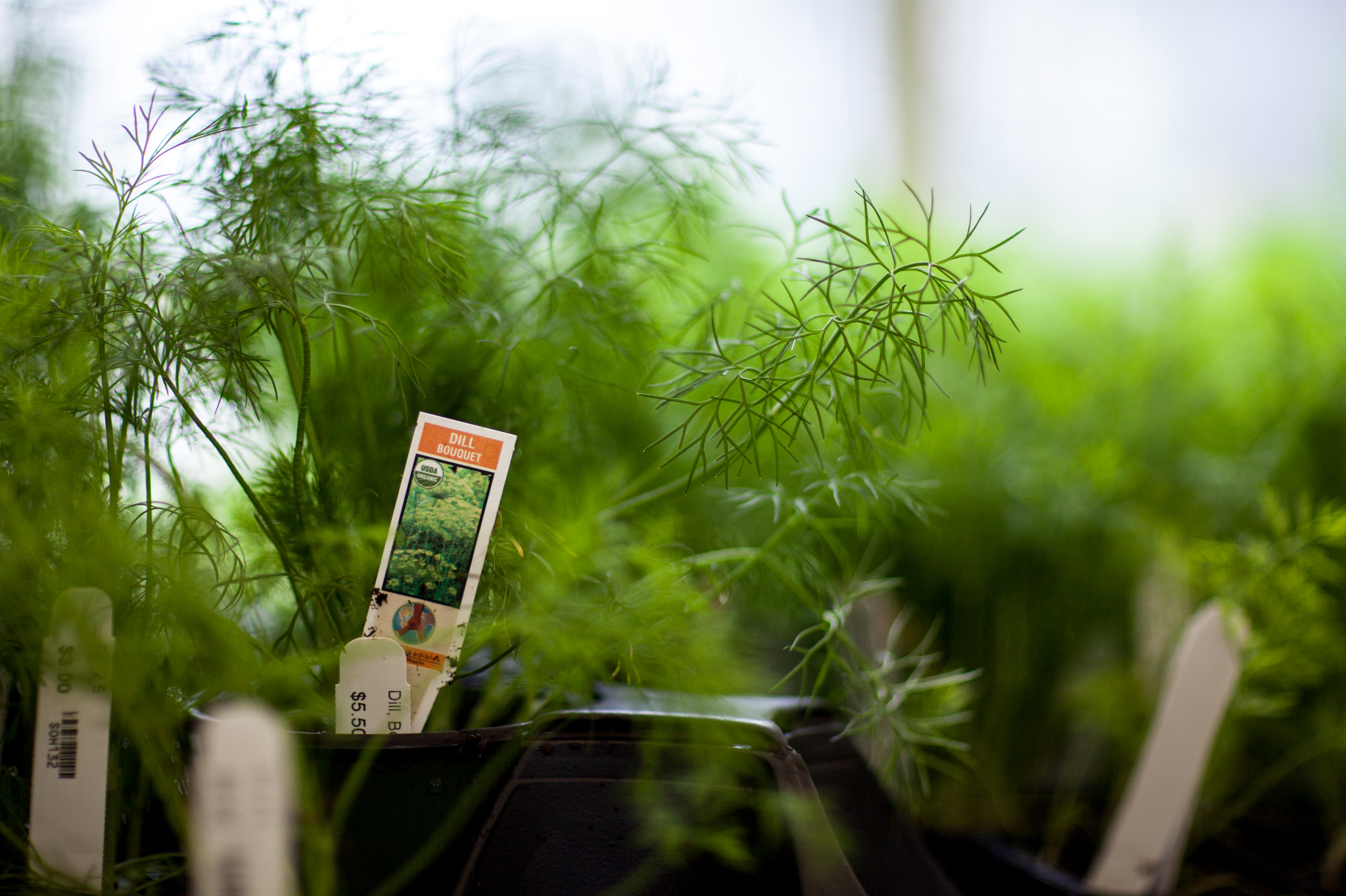 Spring Organic Market and Plant Sale Rodale Institute