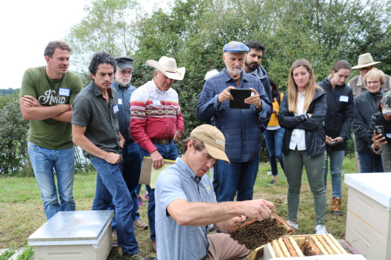 rodale beekeeping tour
