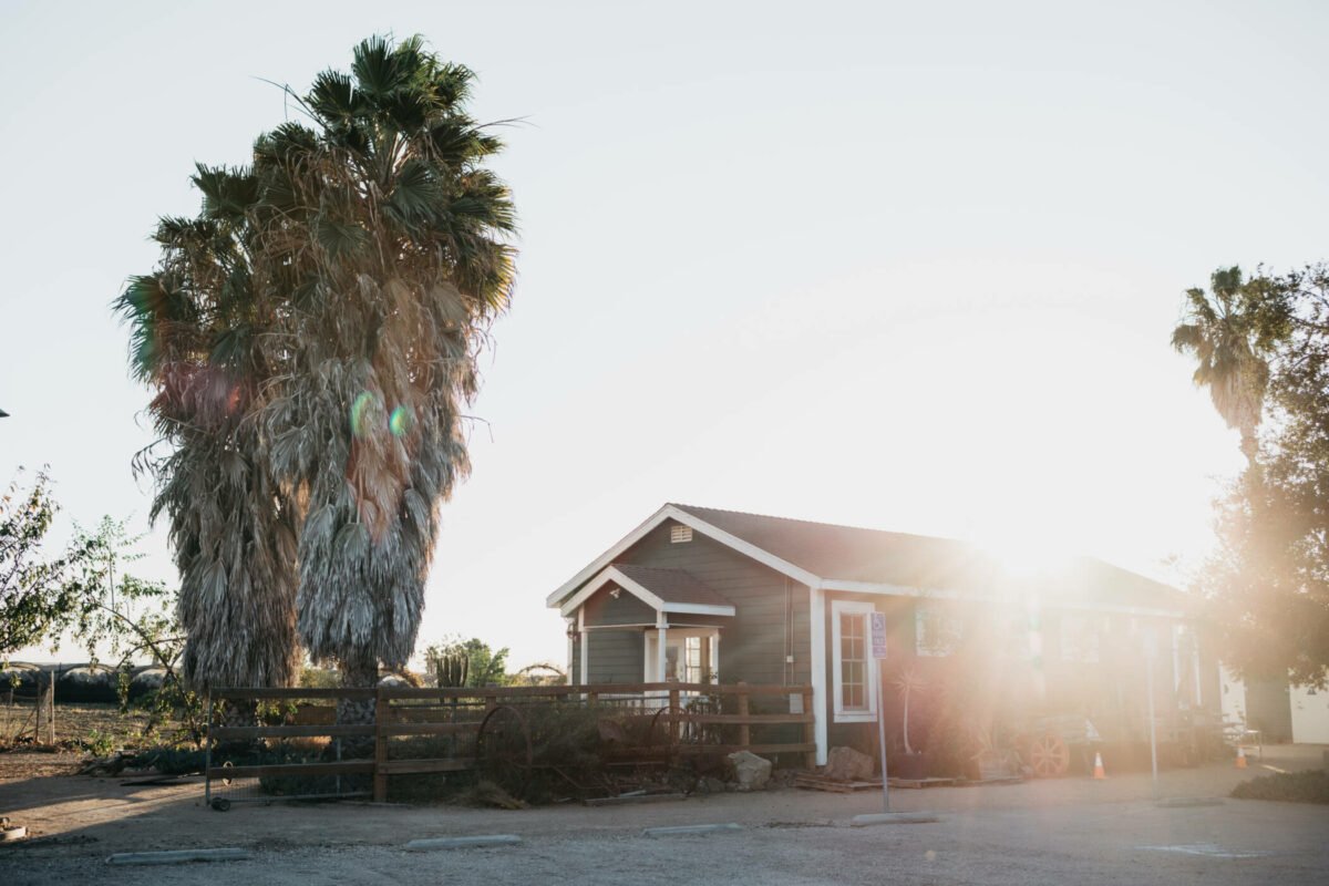 California Organic Center Field Day Rodale Institute