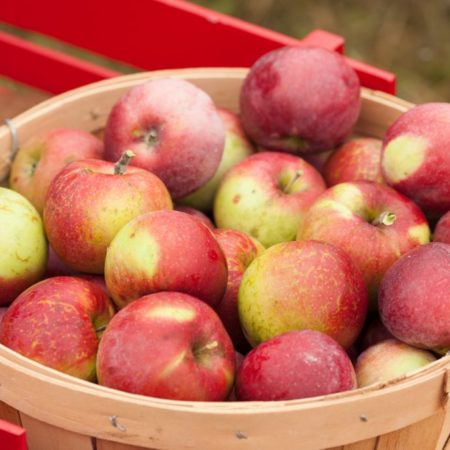 organic apples