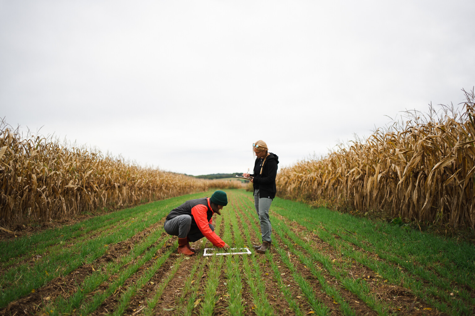 New Research Reveals Organic Agriculture Produces Higher Crop Yields ...