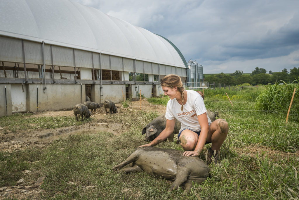 PIG FARMER - Growing boxes of happiness! – Pig Farmer