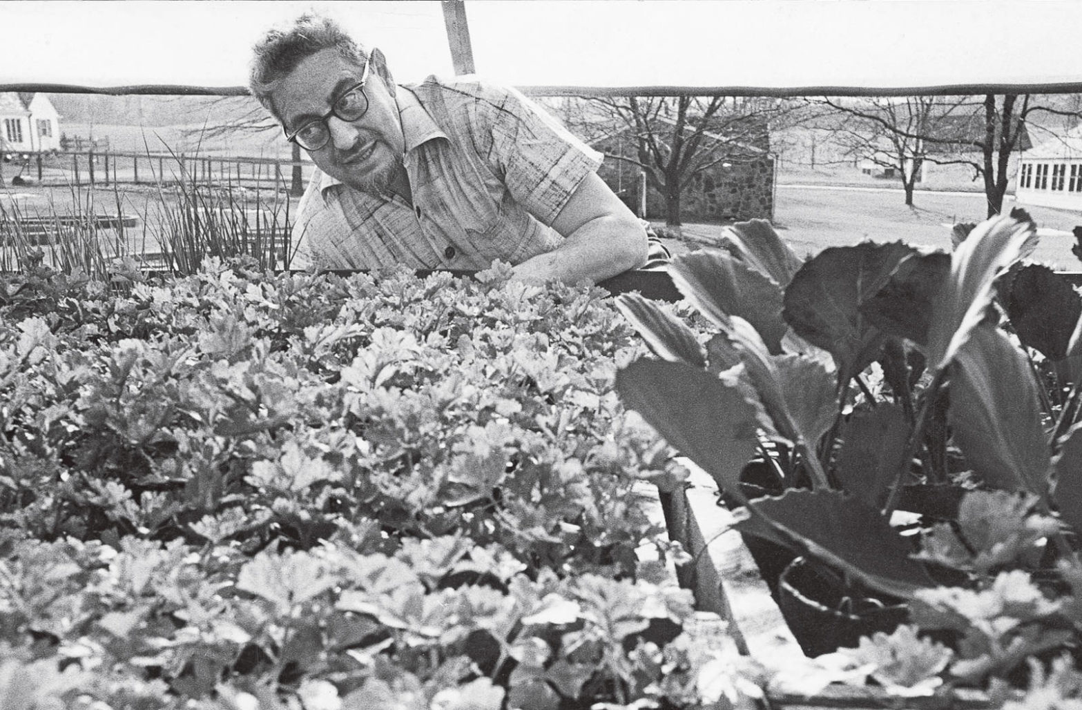 Rodale Institute, Agriculture Supported Communities photo 13