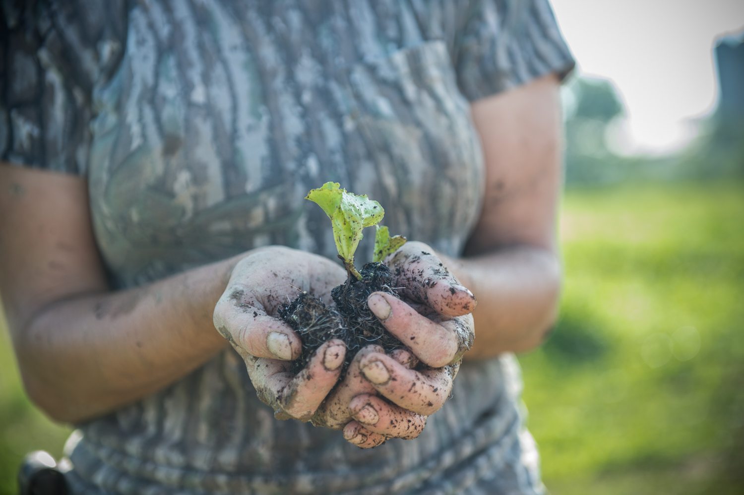 Organic Farming: Building Healthy Soil for Resilient Food Systems
