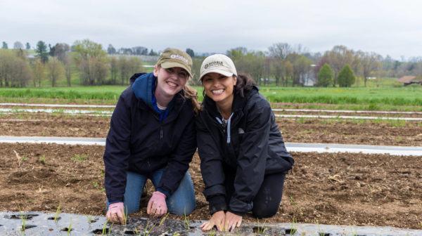 Rodale Institute, Agriculture Supported Communities photo 26