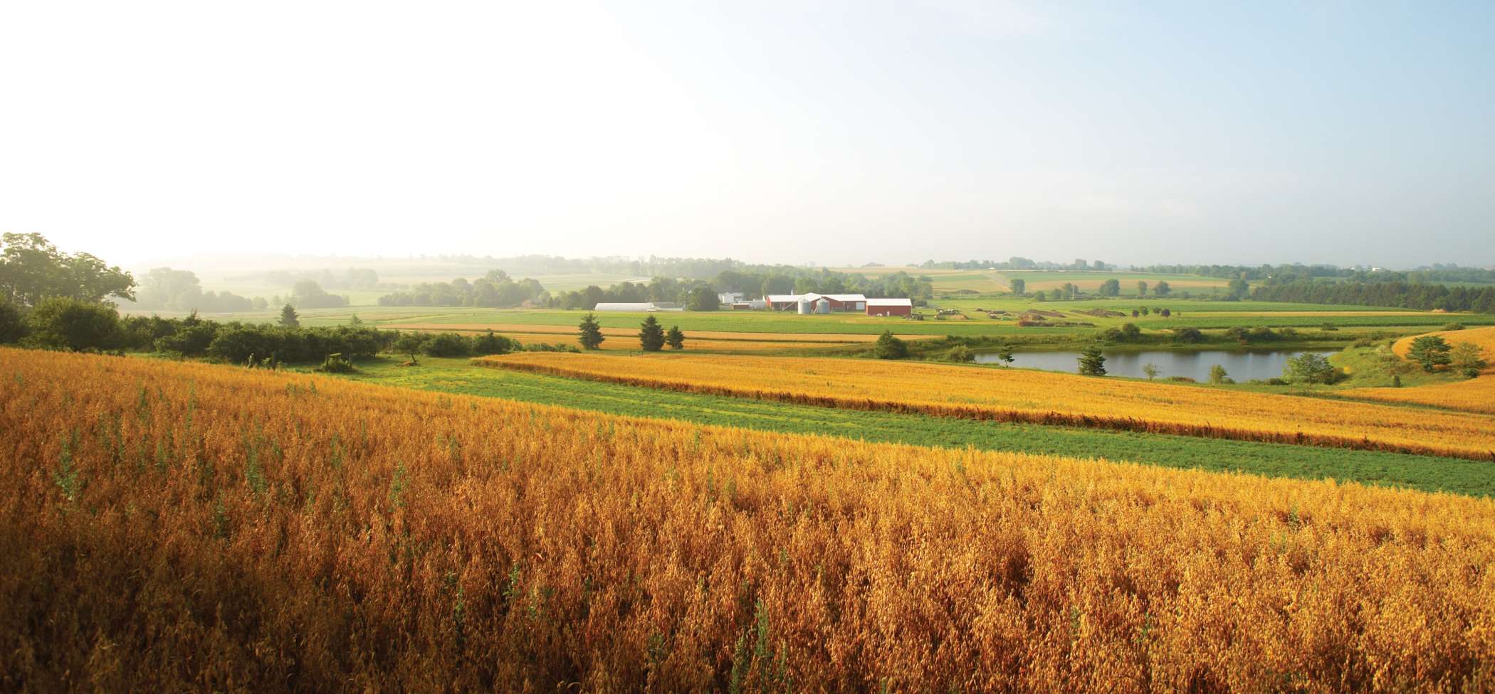 rodale institute farm and crops during harvest season