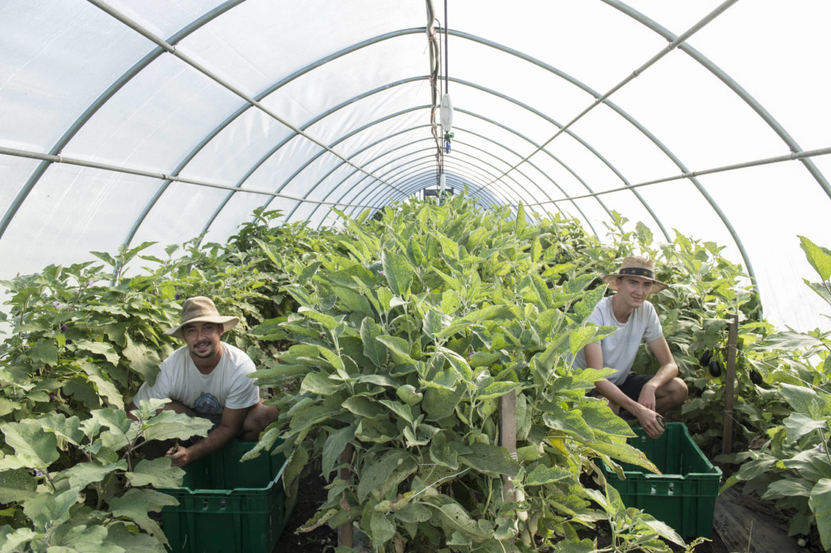 Rodale Institute, Agriculture Supported Communities