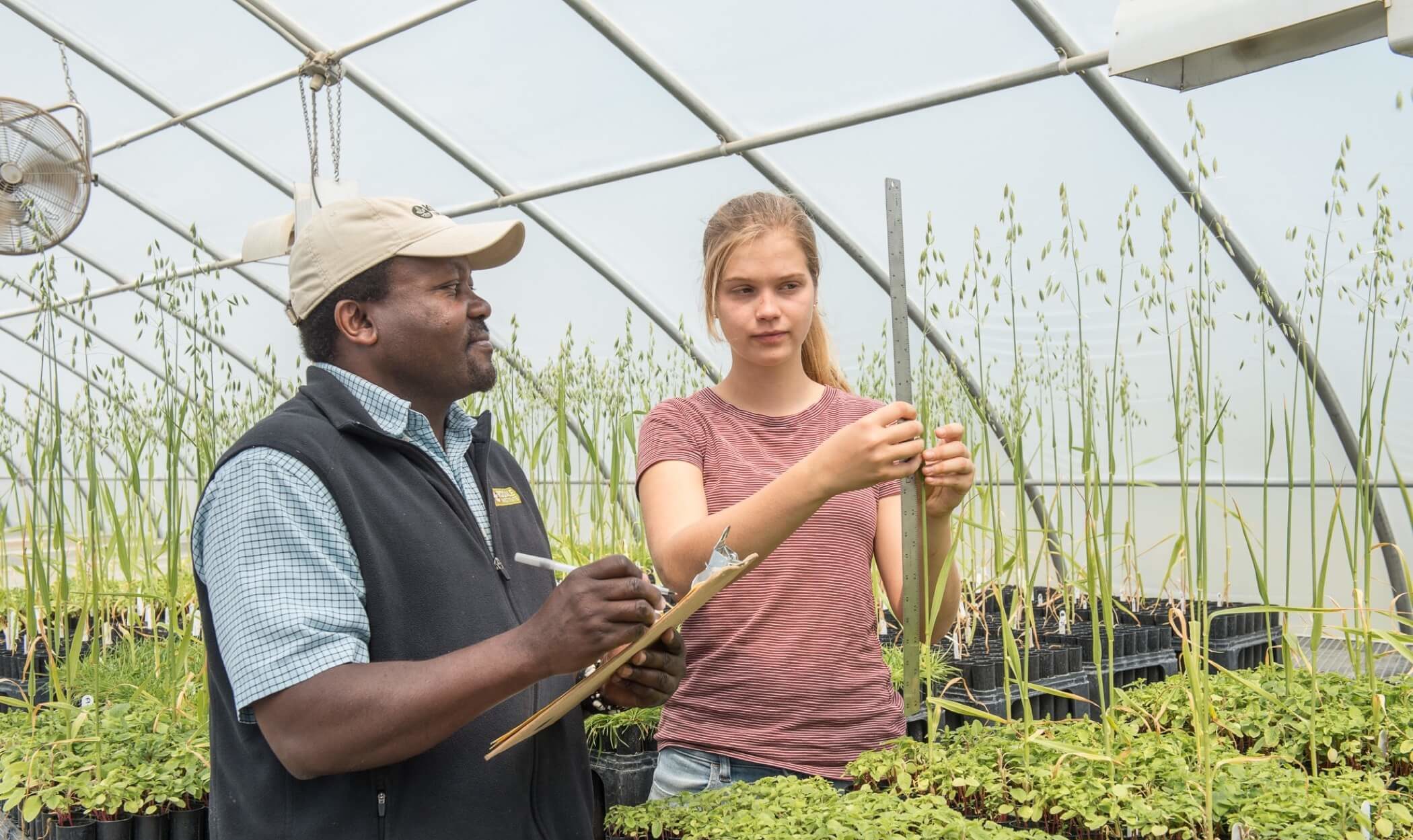Industrial Organic Farming