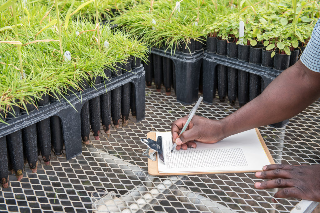 Biotechnology: a Band-Aid Approach to Sustainability - Rodale Institute