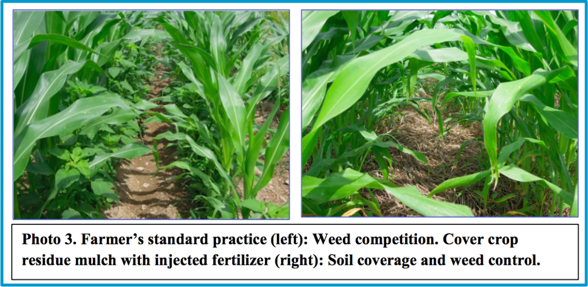 Demonstrating the Use of Roller Crimper Technology and Starter