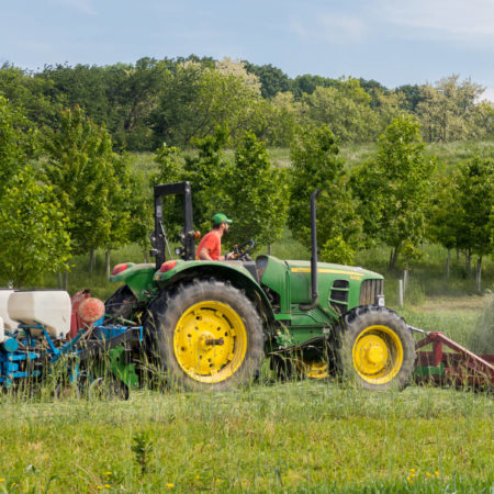 mowing down cover crop roller crimper