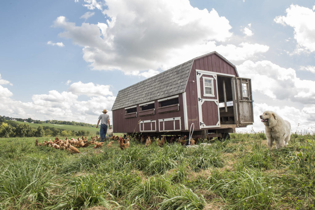 mobile chicken coop