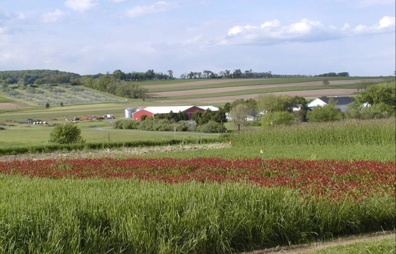 farming crops