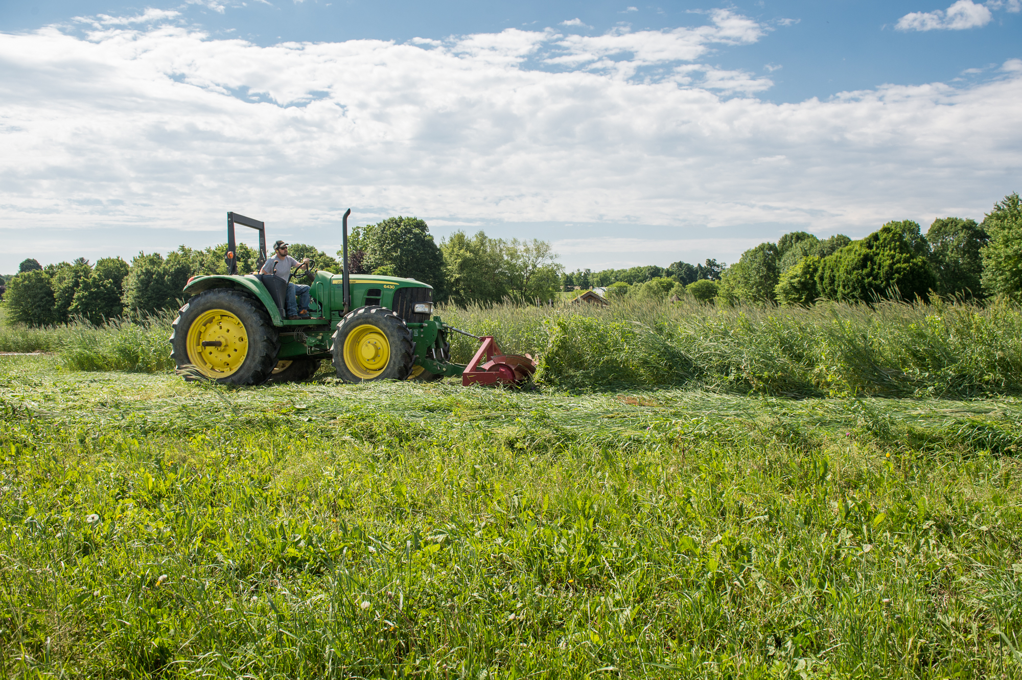 reduced tillage