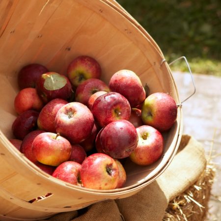 basket full of apples