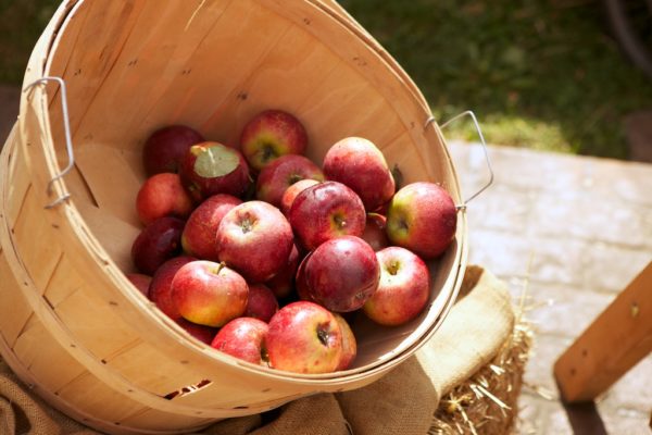 canasta llena de manzanas