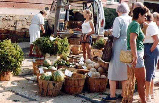 farm stand business plan