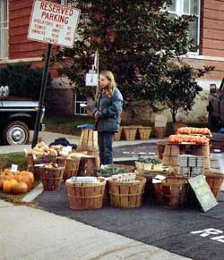 farm stand business plan