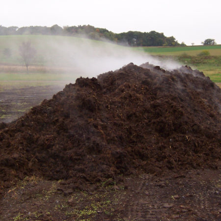 steaming pile of compost